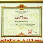 Khung giấy khen A3